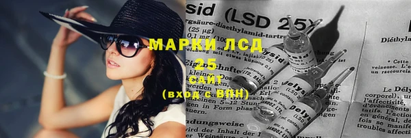сатива Аркадак