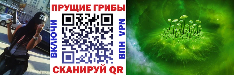 блэк спрут tor  Солнечногорск  Псилоцибиновые грибы ЛСД 